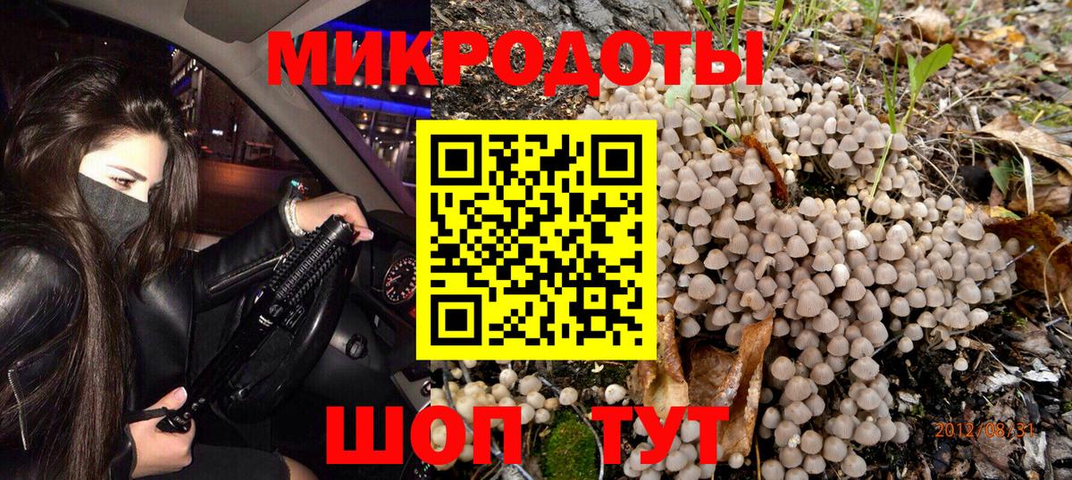 Псилоцибиновые грибы Psilocybine cubensis Таганрог