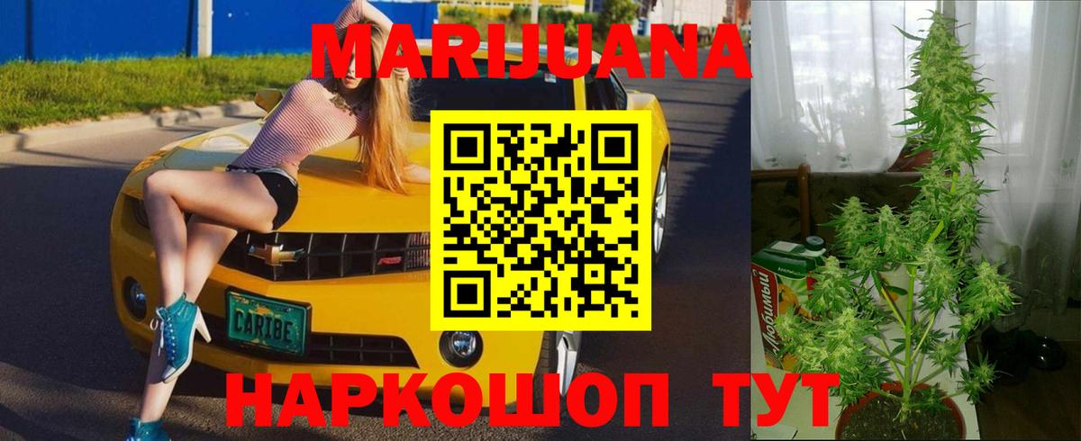 Канабис планчик Таганрог